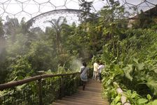 Inside the Humid Tropics Biome, Eden Project, near St Austell, Cornwall