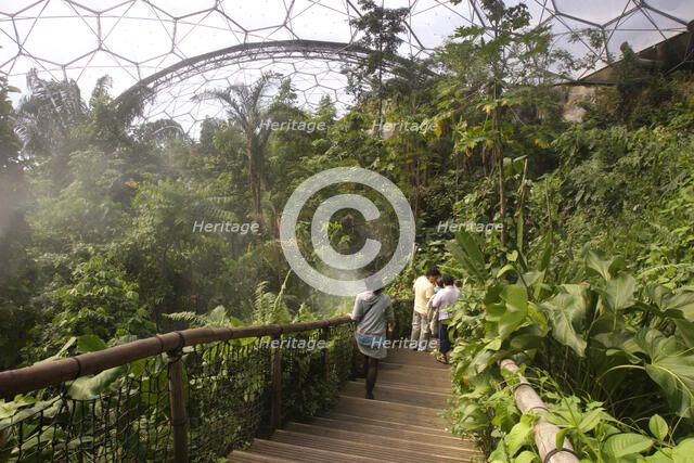 Inside the Humid Tropics Biome, Eden Project, near St Austell, Cornwall.