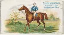 Insolence, from The World's Racers series (N32) for Allen & Ginter Cigarettes, 1888., Creator: Allen & Ginter