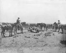 Inspecting a brand on the Prairies, USA, c1900. Creator: Unknown