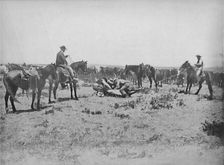 Inspecting a Brand on the Prairies c1897. Creator: Unknown