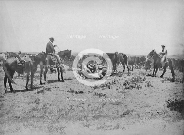'Inspecting a Brand on the Prairies', c1897. Creator: Unknown.