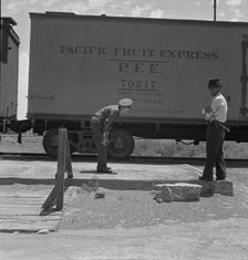 Inspecting a freight train from Mexico for smuggled immigrants, El Paso, Texas, 1938. Creator: Dorothea Lange