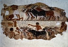 Inspection of cattle. Fresco from the tomb of Nebamun at Thebes