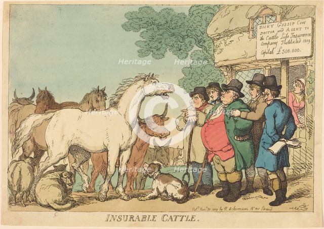 Insurable Cattle, published 1809. Creator: Thomas Rowlandson.