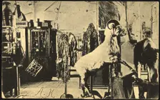 Iakutsk: Museum, 1904-1917. Creator: Unknown