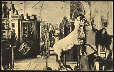 Iakutsk: Museum, 1904-1917. Creator: Unknown