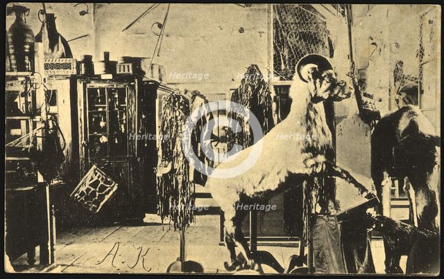 Iakutsk: Museum, 1904-1917. Creator: Unknown.