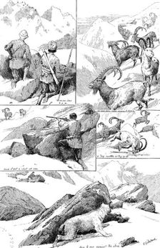 Ibex-shooting in the Shigar Nullahs, Baltistan, Himalayas, 1890. Creator: Unknown