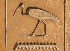 Ibis Hieroglyph, Mastaba of Kagemni, Saqqara, Egypt, Old Kingdom, 6th Dynasty, 2350 BC (2003). Creator: Unknown