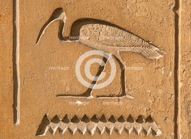 Ibis Hieroglyph, Mastaba of Kagemni, Saqqara, Egypt, Old Kingdom, 6th Dynasty, 2350 BC (2003). Creator: Unknown.