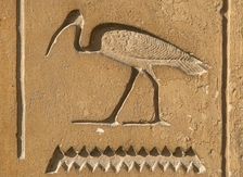 Ibis Hieroglyph, Mastaba of Kagemni, Saqqara, Egypt, Old Kingdom, 6th Dynasty, 2350 BC (2003). Creator: Unknown