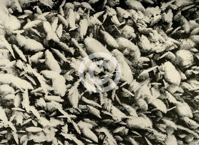 'Ice Crystals on roof of the Hut Porch', c1908, (1909). Artist: Unknown.
