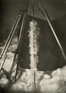 Ice Crystals Formed on the Line of a Fish Trap c1908, (1909)