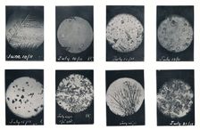 Ice Crystals in Crevasse June-July 1911, (1913). Artist: Charles S Wright