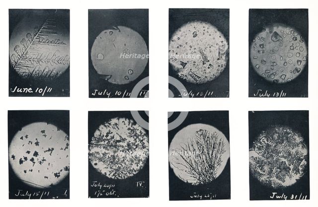 'Ice Crystals in Crevasse', June-July 1911, (1913). Artist: Charles S Wright.