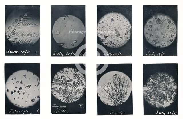 'Ice Crystals in Crevasse', June-July 1911, (1913). Artist: Charles S Wright.