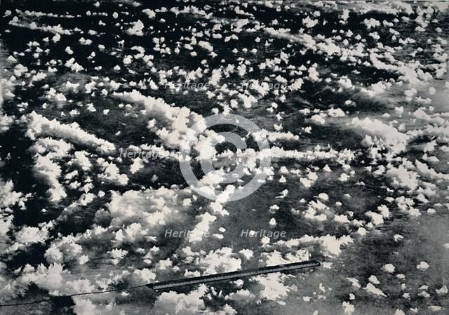 'Ice Flowers on Newly Formed Sea Ice', 1912, (1913). Artist: Frank Debenham.