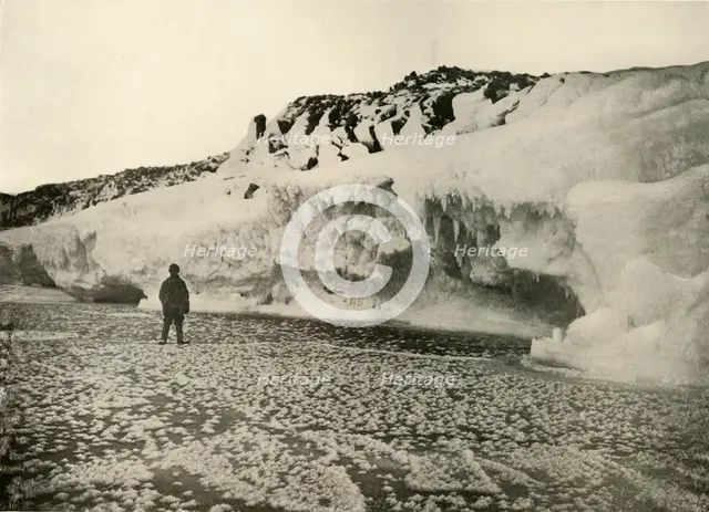 'Ice Flowers on Newly Formed Sea Ice Early in the Winter', c1908, (1909).  Artist: Unknown.
