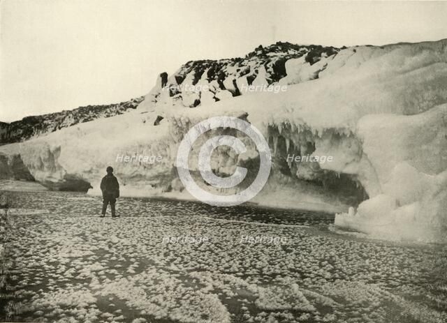 'Ice Flowers on Newly Formed Sea Ice Early in the Winter', c1908, (1909).  Artist: Unknown.