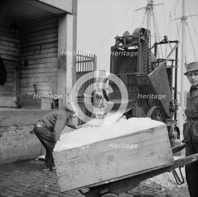 Ice used to store fish in ships, New York, 1943. Creator: Gordon Parks.
