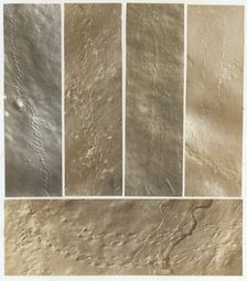 Ichnographs from the Sandstone of Connecticut River, published 1861. Creator: James Deane