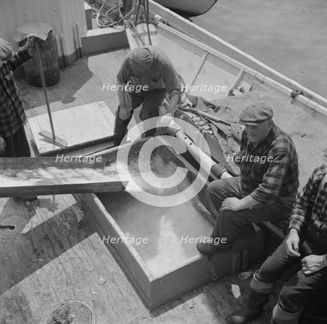 Icing the hold of a ship at the Fulton fish market, New York, 1943. Creator: Gordon Parks.