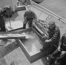 Icing the hold of a ship at the Fulton fish market, New York, 1943. Creator: Gordon Parks