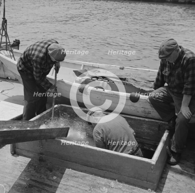 Icing the hold of a ship at the Fulton fish market, New York, 1943. Creator: Gordon Parks.