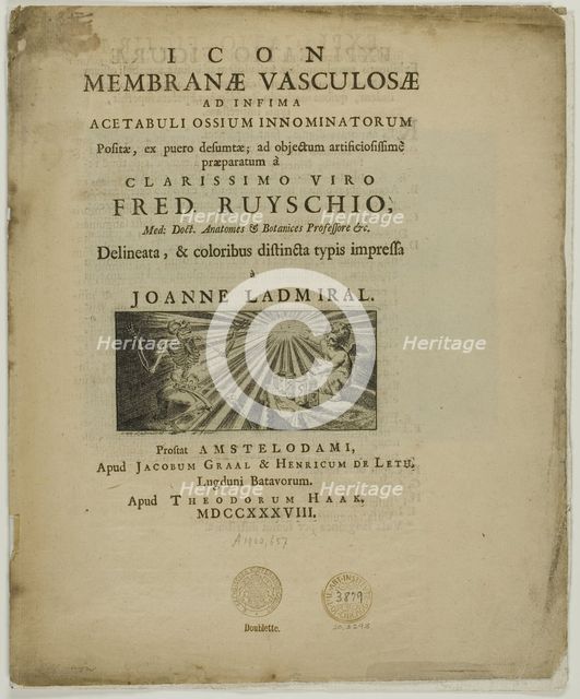 Icon membrane vasculosae, 1738. Creator: Jan L'Admiral.