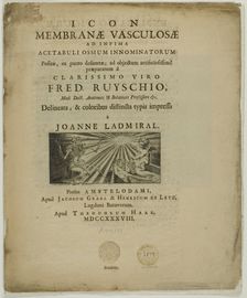 Icon membrane vasculosae, 1738. Creator: Jan L'Admiral