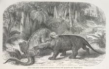Ideal scene in the Lower Cretaceous period, with Iguanodon and Megalosaurus 1865. Creator: Unknown