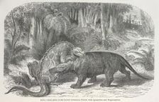 Ideal scene in the Lower Cretaceous period, with Iguanodon and Megalosaurus 1865. Creator: Unknown