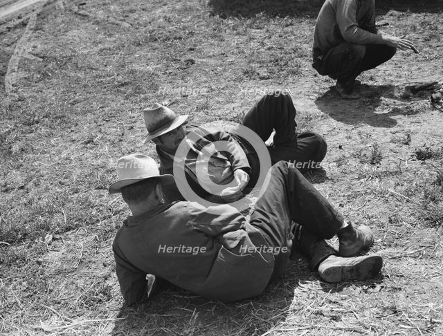 Idle migrants, foothills north of San Jose, California, 1939. Creator: Dorothea Lange.