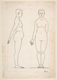 IIllustration from Dürers Vier Bucher von Menslicher Proportion, Nuremberg, 1528.n.d. Creator: Albrecht Durer
