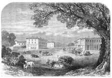 Il Gombo, near Pisa, the Acclimatisation Farm of His Majesty Victor Emmanuel, 1864. Creator: Unknown