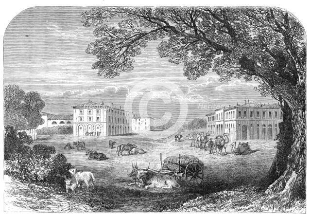 Il Gombo, near Pisa, the Acclimatisation Farm of His Majesty Victor Emmanuel, 1864. Creator: Unknown.