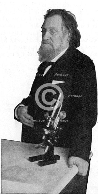 Ilya Ilich Mechnikov, Russian microbiologist. Creator: Unknown.