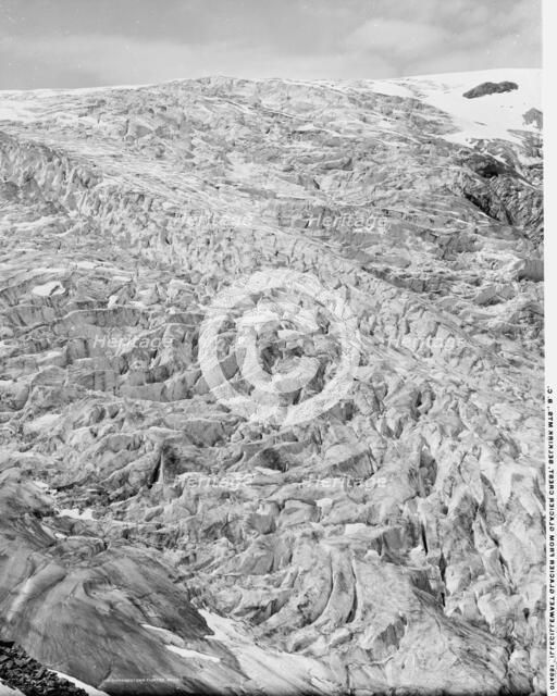 Illecillewaet Glacier from Glacier Crest, Selkirk Mts., B.C., between 1900 and 1906. Creator: Unknown.