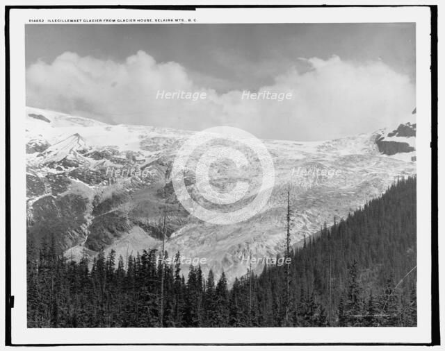 Illecillewaet Glacier from Glacier House, Selkirk Mts., B.C., c1902. Creator: Unknown.