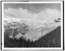 Illecillewaet Glacier from Glacier House, Selkirk Mts., B.C., c1902. Creator: Unknown