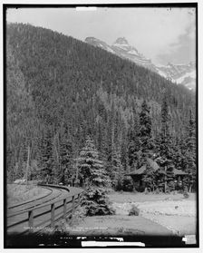 Illecillewaet Glacier from Glacier House, Selkirk Mountains, B.C., c.between 1901 and 1906. Creator: Unknown