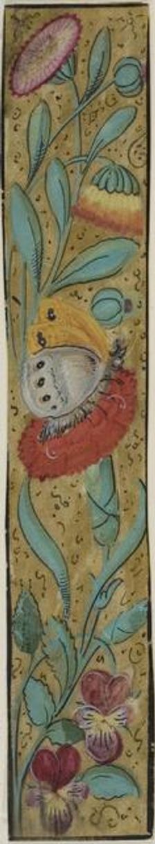 Illuminated Border with Moth and Flowers, n.d. Creator: Unknown