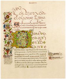 Illuminated letter D 15th century