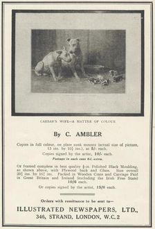 Illustrated Newspapers Framed Pictures, 1935