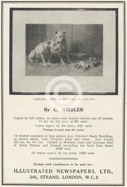 Illustrated Newspapers Framed Pictures, 1935. Artist: Unknown