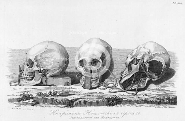 Illustration of Nukagiva Skulls, 1813. Creator: Unknown.