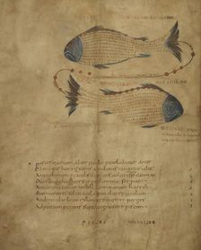Illustration of the constellation Pisces, c820-840. Creator: Unknown