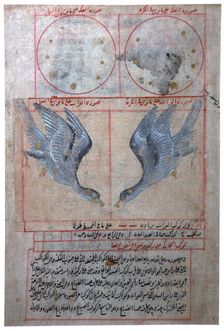 Illustration of the Constellations of the Southern Hemisphere, 16th century