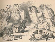 Illustration for the chapter a Caucus-Race and a long tail Alice and various creatures, such as Artist: John Tenniel
